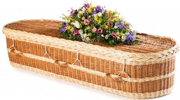 English Willow Rounded Coffin with Light Bands